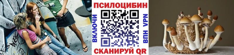 Псилоцибиновые грибы MAGIC MUSHROOMS  MEGA вход  Енисейск 